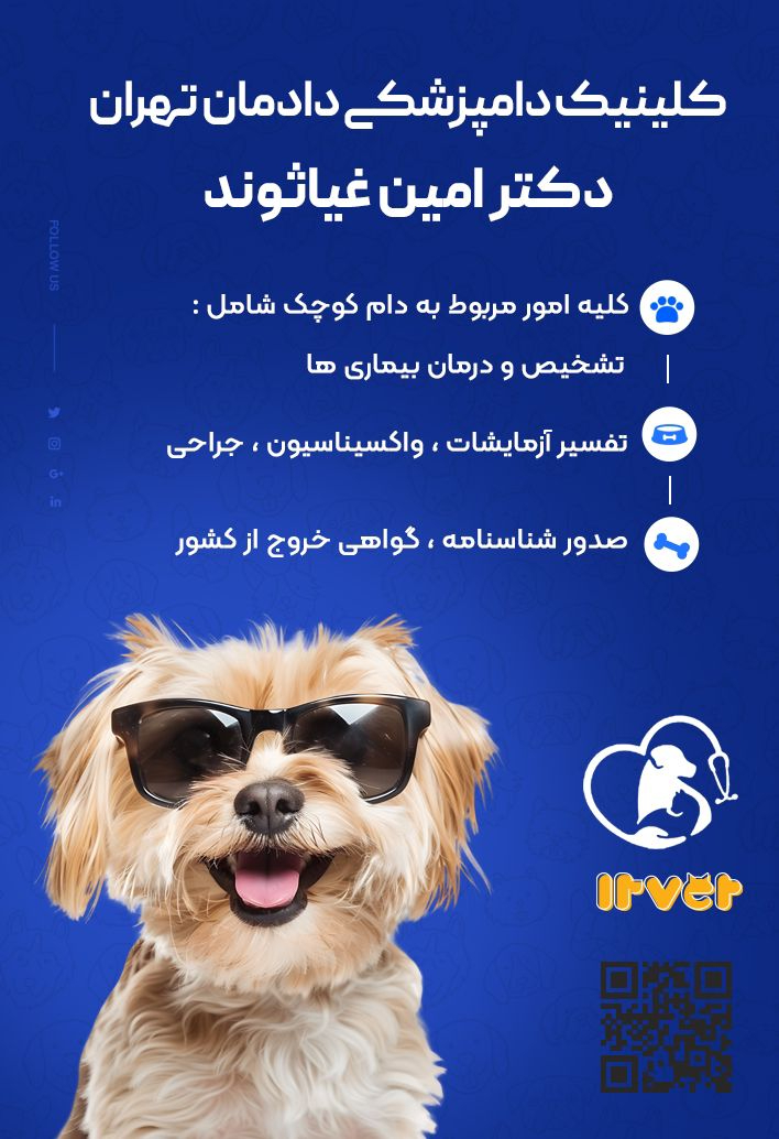 کلینیک  دامپزشکی دادمان تهران